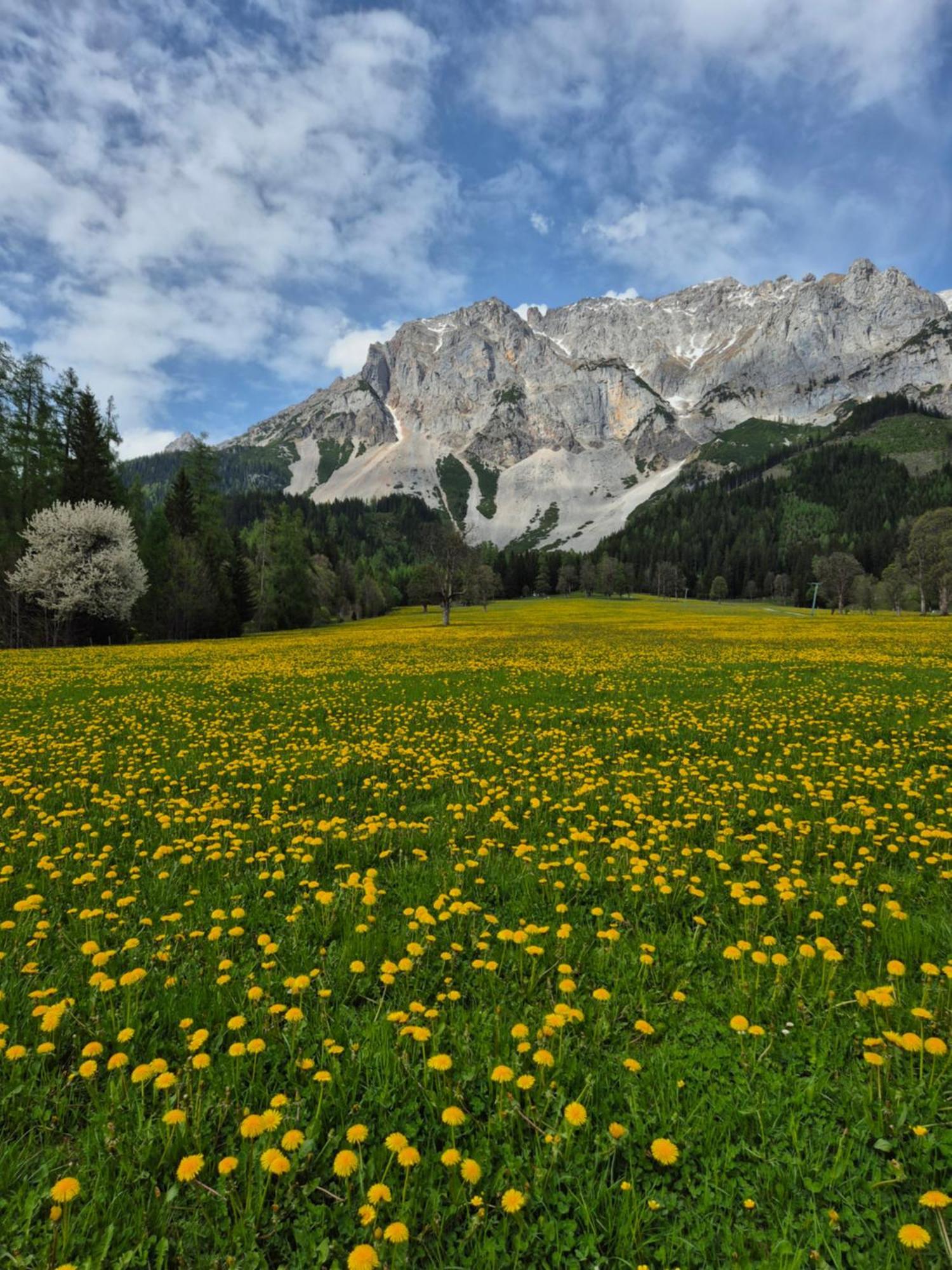Family Appartment - Dachstein View Ramsau am Dachstein Exterior foto